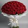 Букет 101 Красная роза Блэк Мэджик в Родине