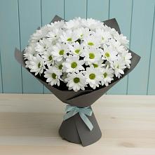 Букет цветов из:  Хризантемы #REPLACE_PRED# Родине