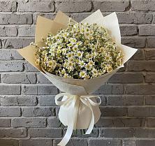 Букет цветов из:  Ромашки #REPLACE_PRED# Родине